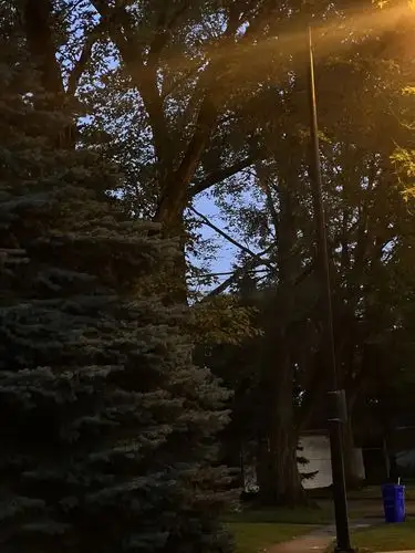 Streetlight serenity under a fading sky.